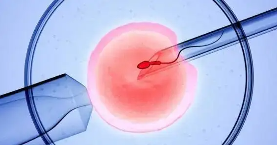 茂名借卵试管助孕中介：在此了解为什么男方在做试管婴儿前需要定期采精。