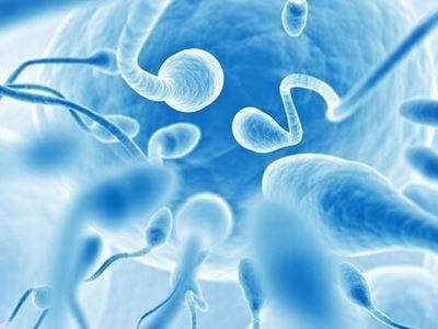 哪些因素会影响精子的质量不合格？