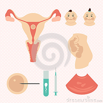 体外受精能否一次成功-南方39个孕期支持咨询。