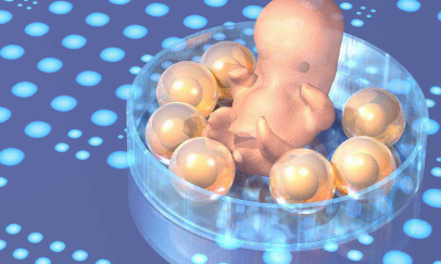 南昌借卵生子流程：精子和卵子结合过程的简要解释