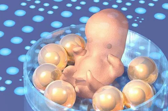 常州52岁助孕龙凤胎：试管婴儿的优质胚胎和正常胚胎的区别